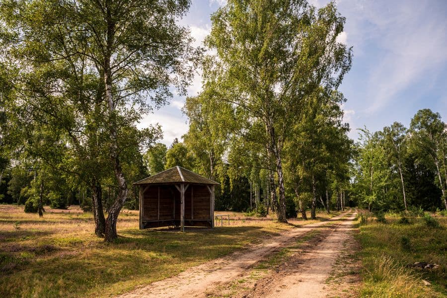 Schutzhütte am Weg in der Oberoher Heide Heidschnuckenweg Wandern