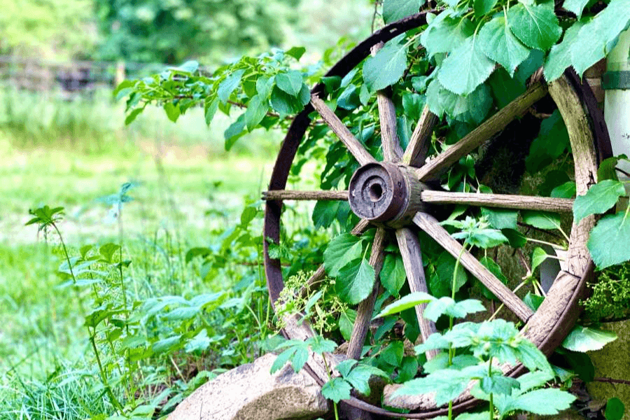 Ferienhaus in der Lüneburger Heide für 6 Personen